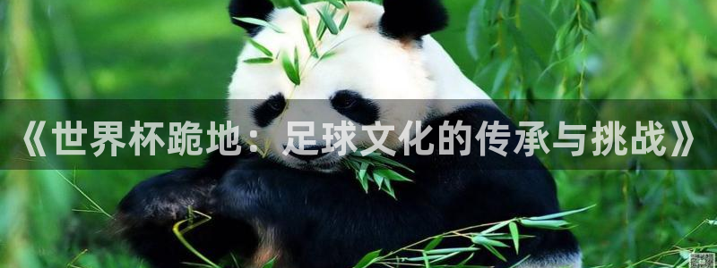 2026世界杯买球：《世界杯跪地：足球文化的传承与挑战》