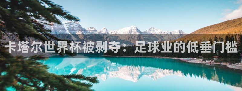 法国杯2026赛程表：卡塔尔世界杯被剥夺：足球业的低垂门槛