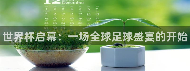 世预赛直播：世界杯启幕：一场全球足球盛宴的开始
