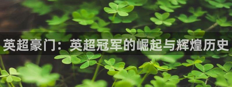 联赛杯直播：英超豪门：英超冠军的崛起与辉煌历史