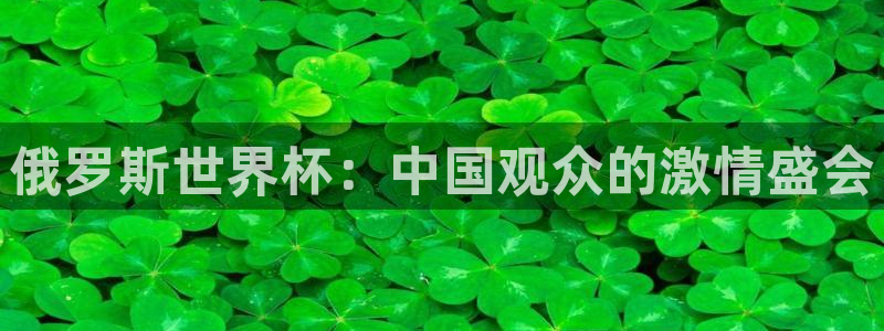 2026足球世界杯赛程：俄罗斯世界杯：中国观众的激情盛会