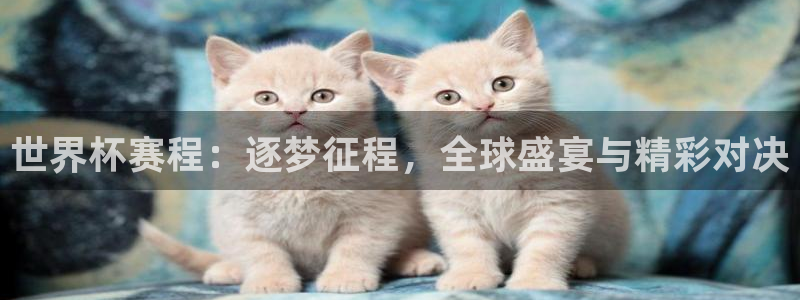 2026葡萄牙杯赛程表：世界杯赛程：逐梦征程，全球盛宴与精彩对决