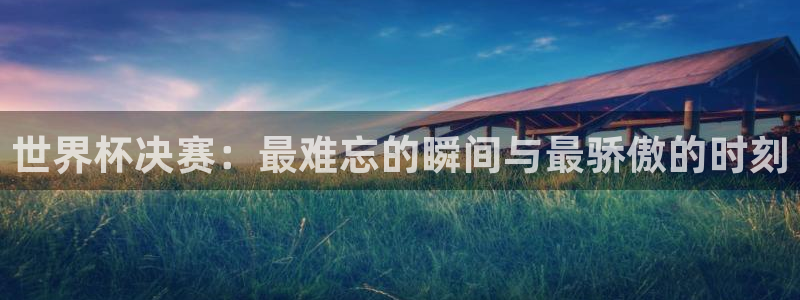 世界杯欧洲预选赛：世界杯决赛：最难忘的瞬间与最骄傲的时刻