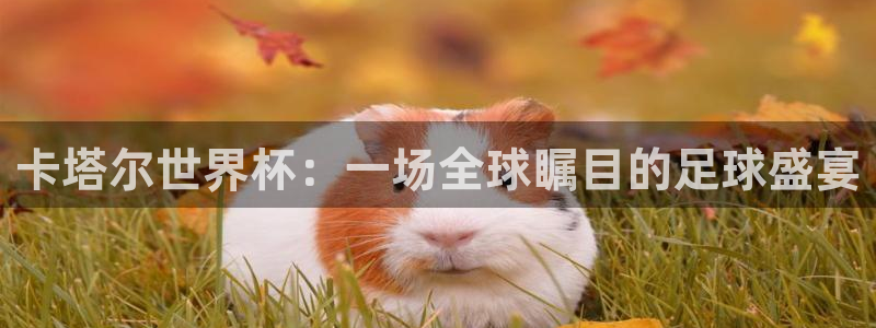 世界杯2026赛程时间表格：卡塔尔世界杯：一场全球瞩目的足球盛宴
