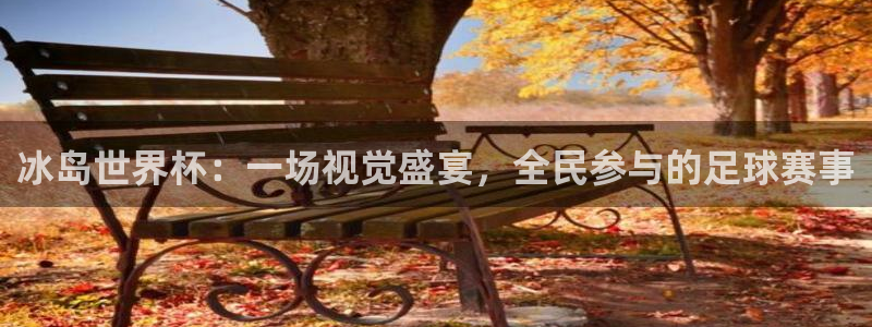 世界杯：冰岛世界杯：一场视觉盛宴，全民参与的足球赛事