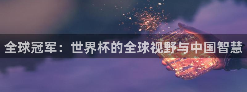 2006世界杯：全球冠军：世界杯的全球视野与中国智慧
