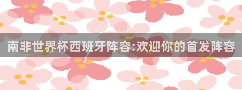 世界杯赛程2026：南非世界杯西班牙阵容:欢迎你的首发阵容