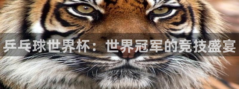 世界杯足球比赛：乒乓球世界杯：世界冠军的竞技盛宴
