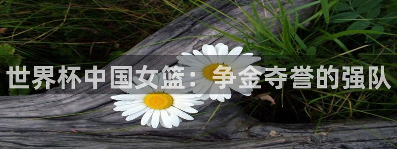 2026世界杯：世界杯中国女篮：争金夺誉的强队