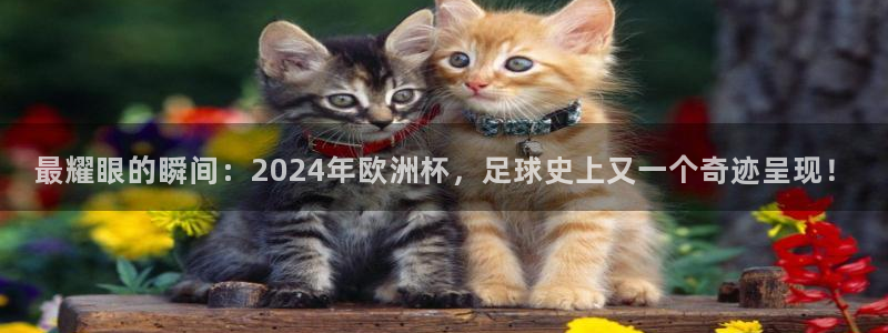 世界杯直播时间：最耀眼的瞬间：2024年欧洲杯，足球史上又一个奇迹呈现！