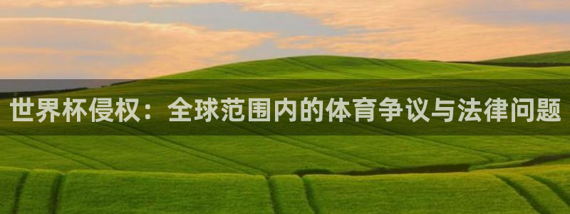 世界杯赛程时间表：世界杯侵权：全球范围内的体育争议与法律问题