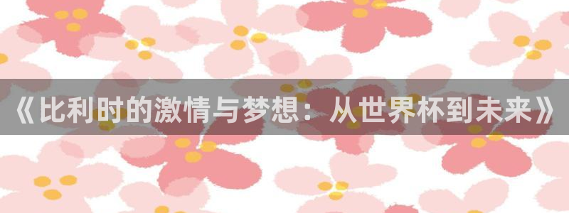 世界杯比赛赛程：《比利时的激情与梦想：从世界杯到未来》