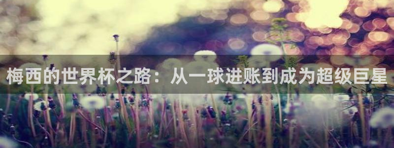 世界杯预选赛2026：梅西的世界杯之路：从一球进账到成为超级巨星