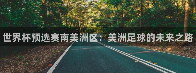 英格兰联赛杯直播：世界杯预选赛南美洲区：美洲足球的未来之路