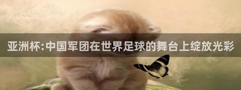 澳门世界杯直播：亚洲杯:中国军团在世界足球的舞台上绽放光彩