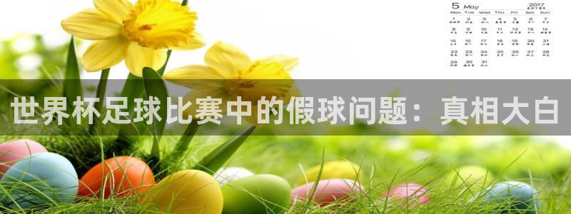 2026世界杯中国队：世界杯足球比赛中的假球问题：真相大白