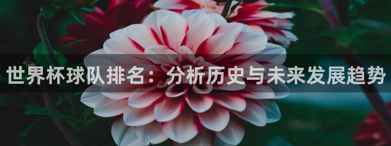2026世预赛赛程：世界杯球队排名：分析历史与未来发展趋势