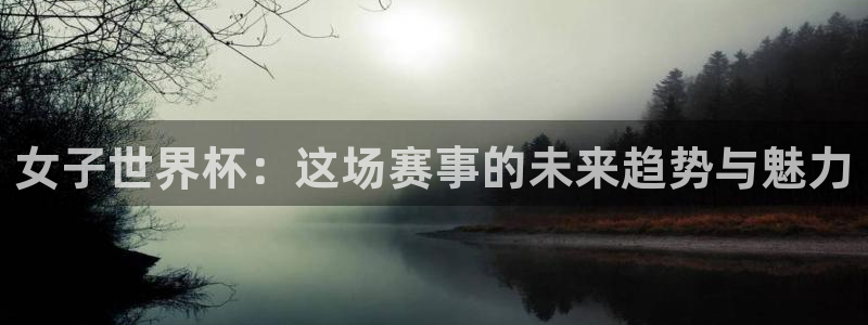 世界杯足球赛2026：女子世界杯：这场赛事的未来趋势与魅力